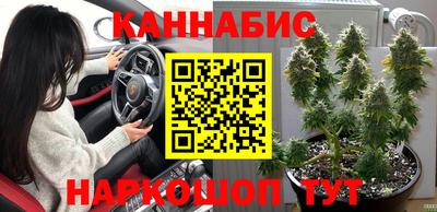 прущая мука Гай