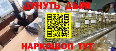 прущие грибы Гатчина