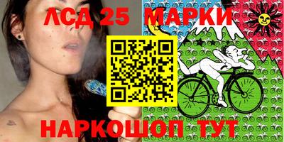 прущие грибы Гатчина
