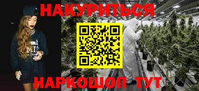 прущие грибы Гатчина