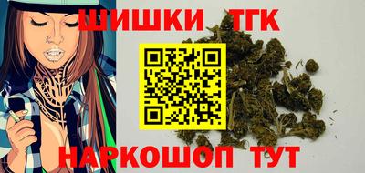 прущие грибы Гатчина