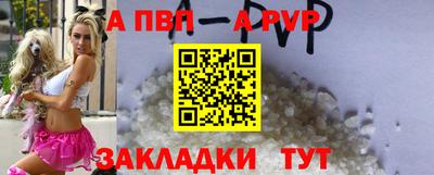 прущие грибы Гатчина