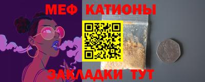 прущие грибы Гатчина