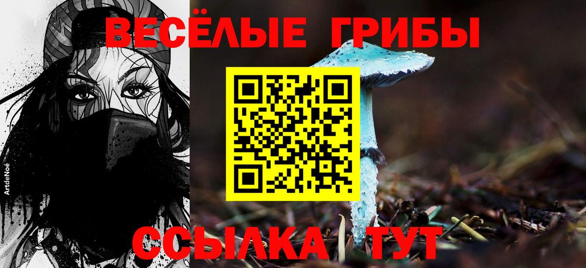 Углич  Галлюциногенные грибы прущие грибы  Вход с VPN  Псилоцибиновые грибы ЛСД 